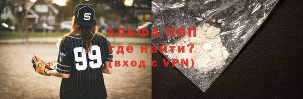 прущий лед Алзамай