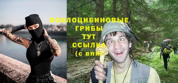 амф Алексеевка
