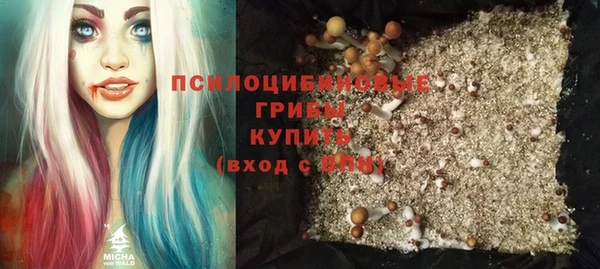 прущий лед Алзамай