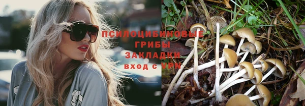 ECSTASY Алексин