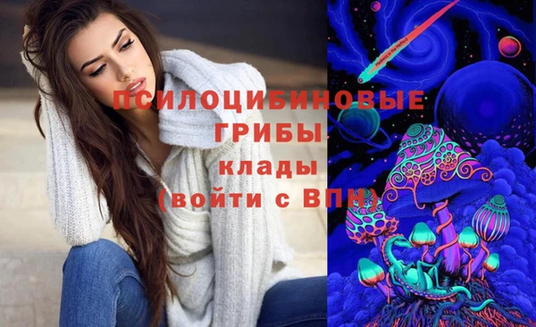 амф Алексеевка