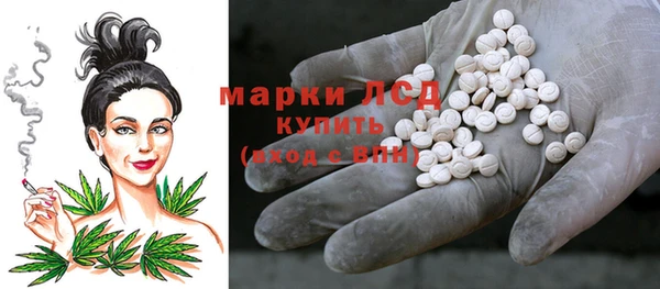 прущий лед Алзамай